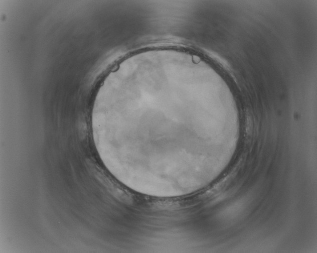 X0000067391407200604281830