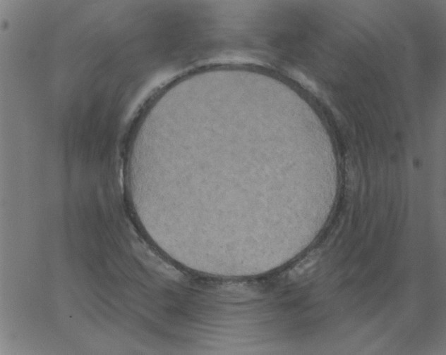 X0000067391408200604281830