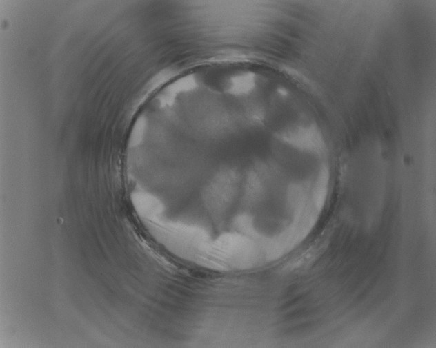 X0000067391409200604281830