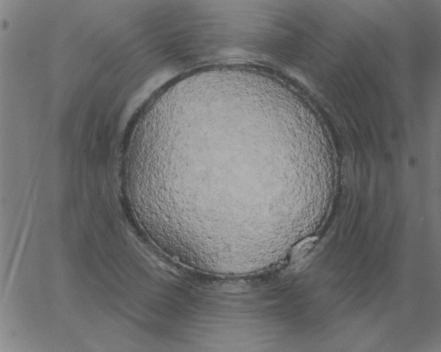 X0000067391410200604281830