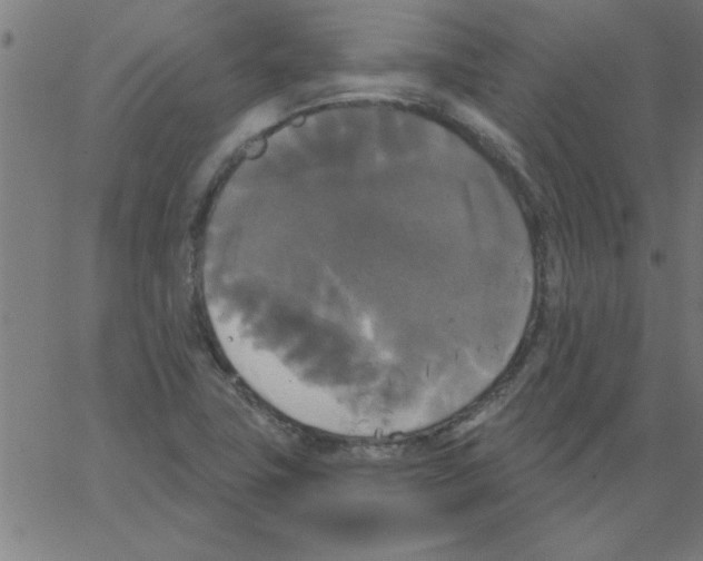 X0000067391411200604281830