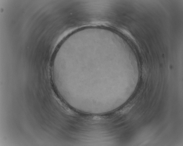 X0000067391412200604281830