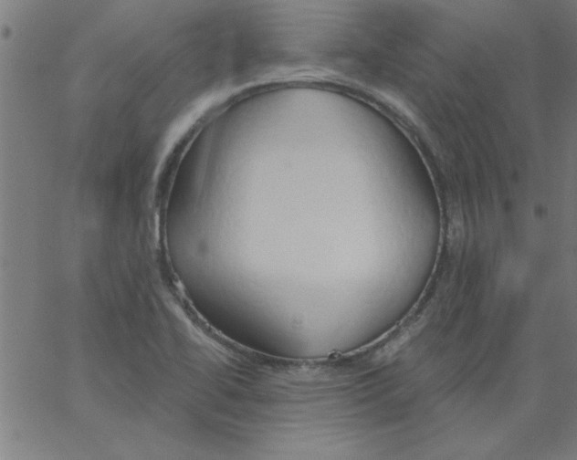 X0000067391414200604281830