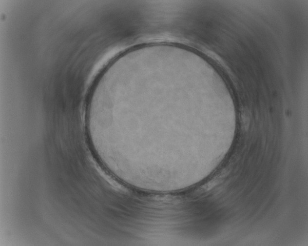 X0000067391416200604281831