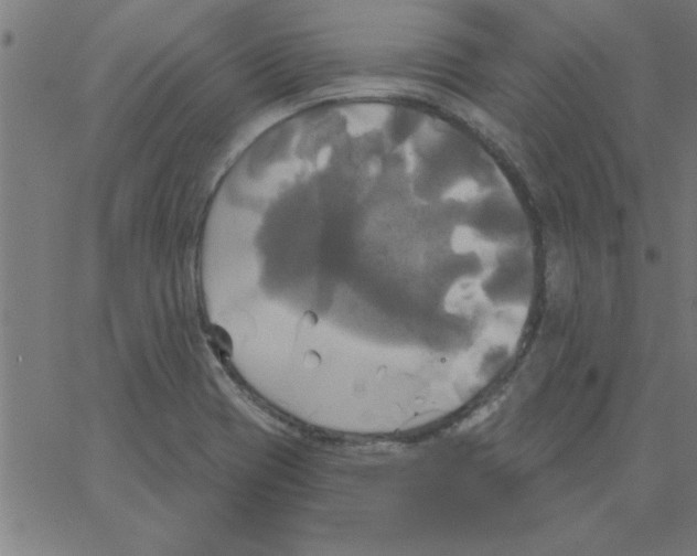 X0000067391417200604281831