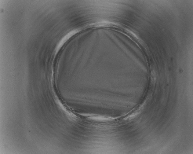 X0000067391418200604281831