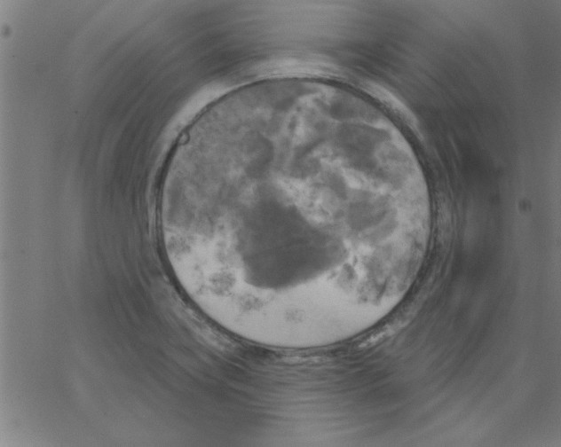 X0000067391419200604281831