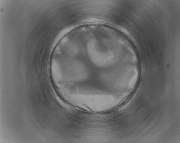 X0000067391421200604281831