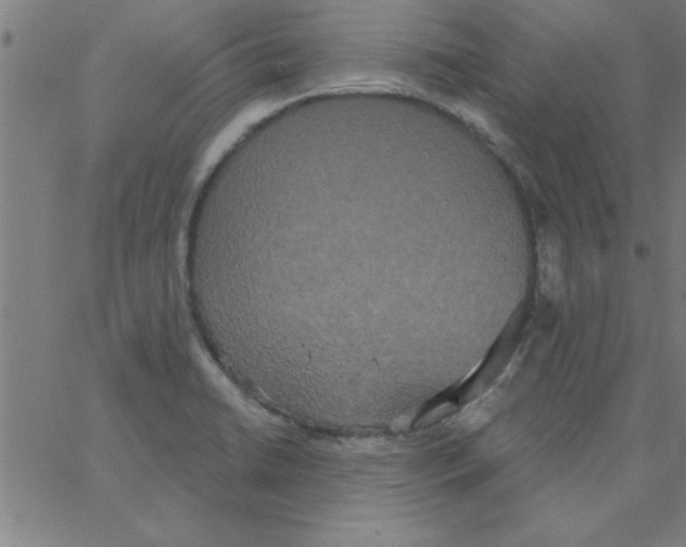 X0000067391422200604281831