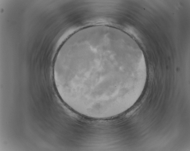 X0000067391424200604281831