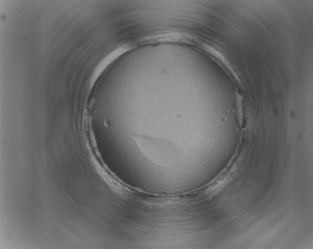 X0000067391426200604281831