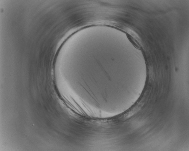 X0000067391428200604281831