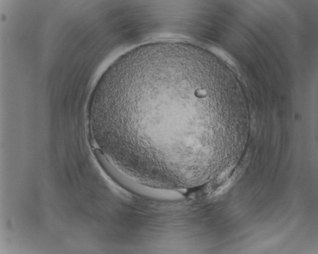 X0000067391430200604281831