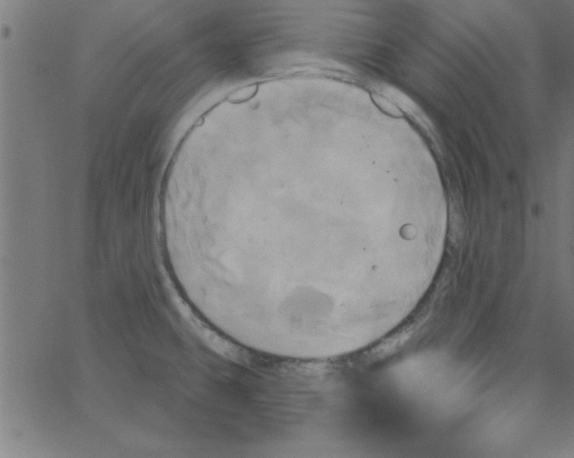 X0000067391431200604281831