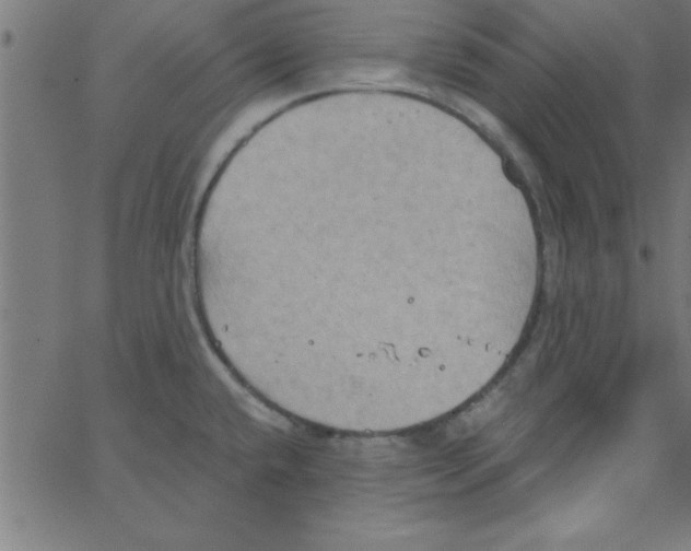 X0000067391432200604281831