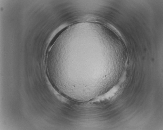 X0000067391434200604281831