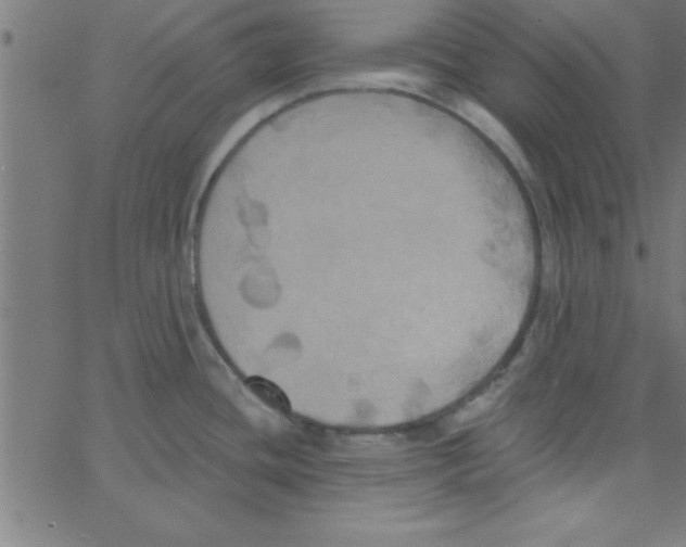 X0000067391436200604281831