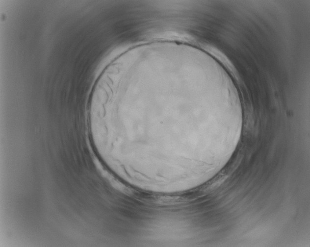 X0000067391439200604281831