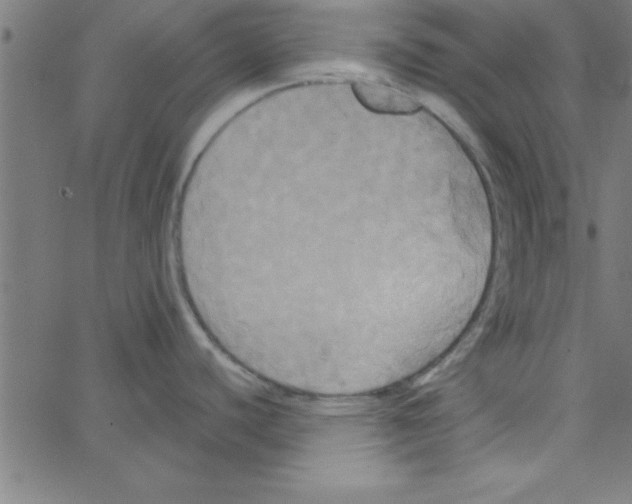 X0000067391440200604281831