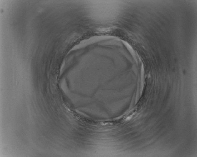 X0000067391441200604281830