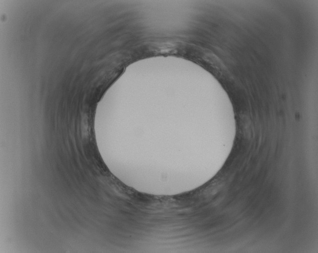 X0000067391442200604281830