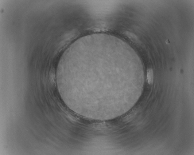 X0000067391444200604281830