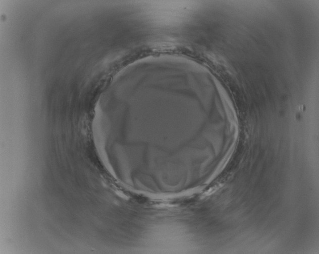 X0000067391445200604281830