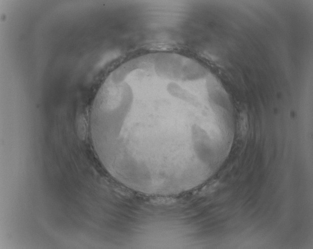 X0000067391446200604281830