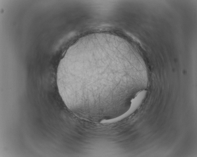 X0000067391447200604281830