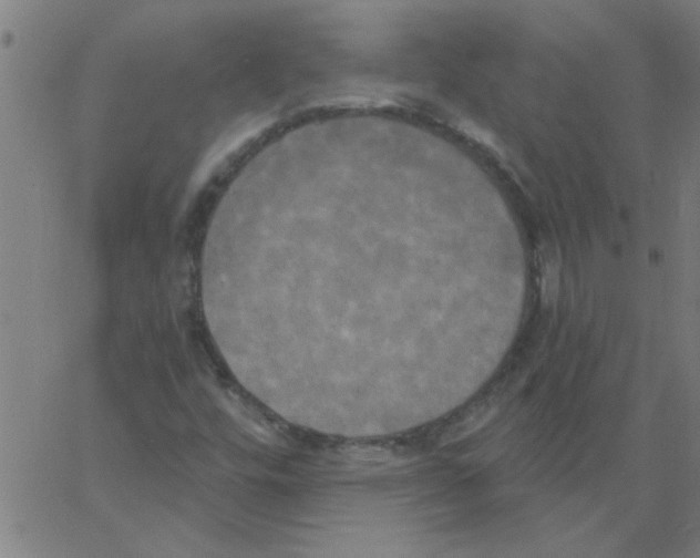 X0000067391448200604281830