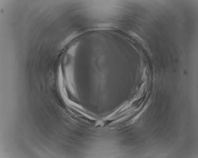 X0000067391449200604281830