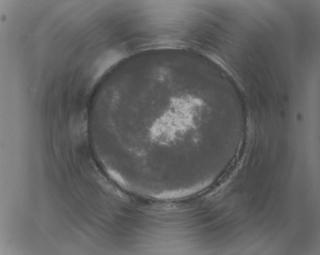 X0000067391450200604281830