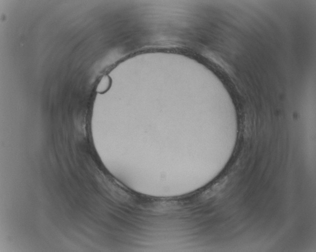 X0000067391451200604281830