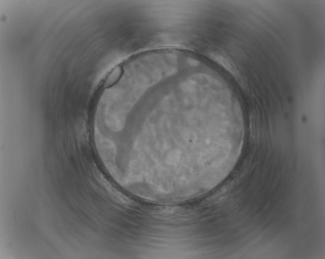 X0000067391452200604281830