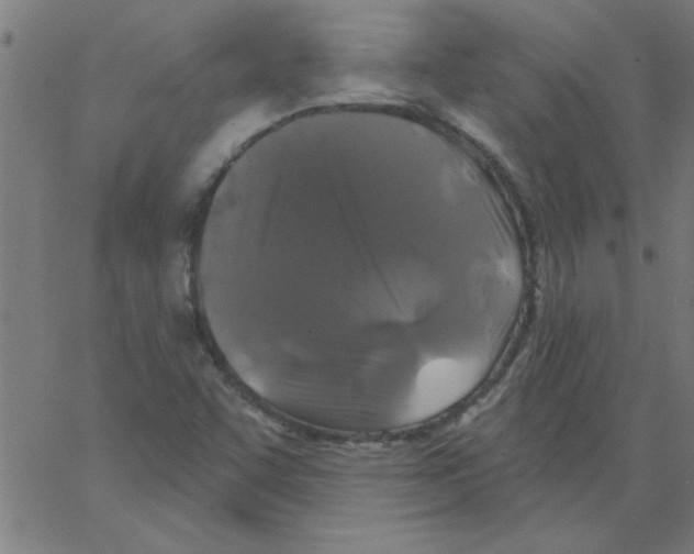 X0000067391455200604281830