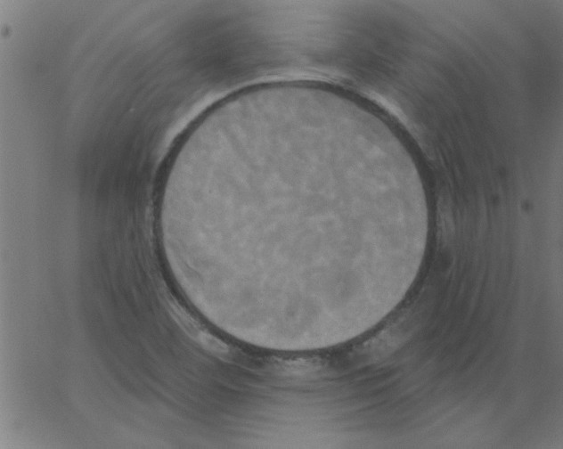 X0000067391460200604281830