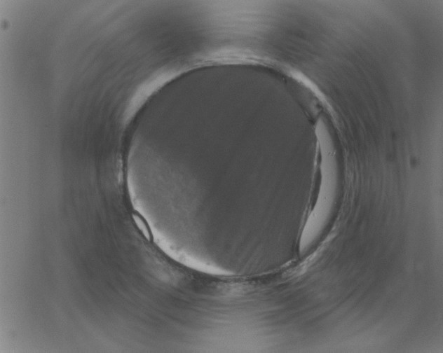 X0000067391461200604281830