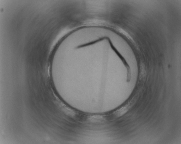 X0000067391462200604281830