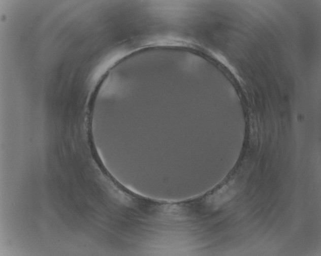 X0000067391463200604281830