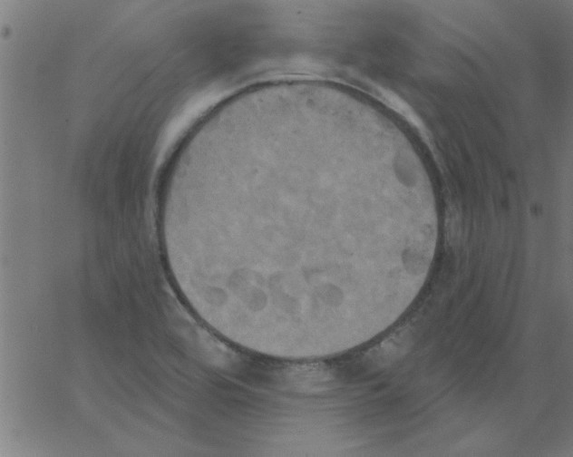 X0000067391464200604281830