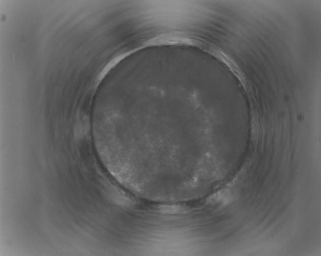 X0000067391465200604281830