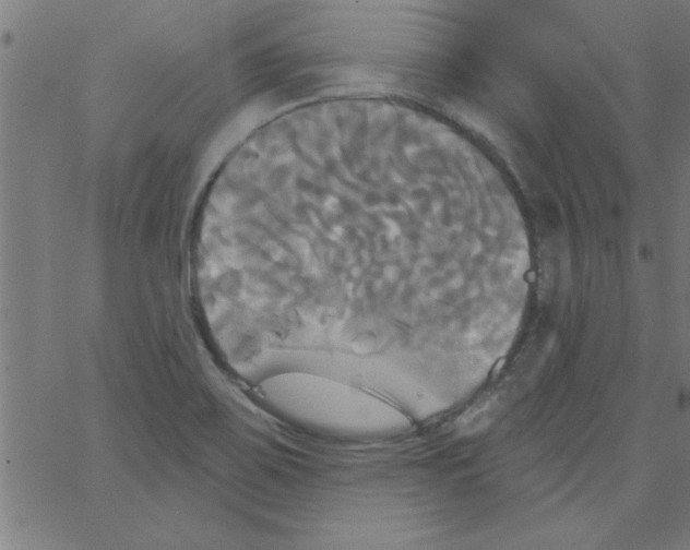 X0000067391467200604281830