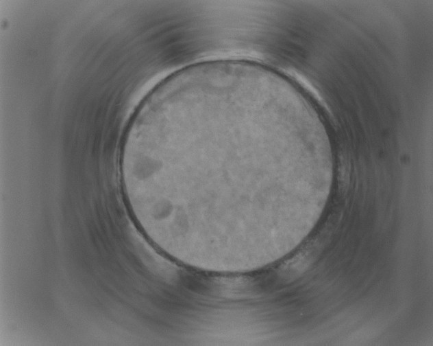 X0000067391468200604281830