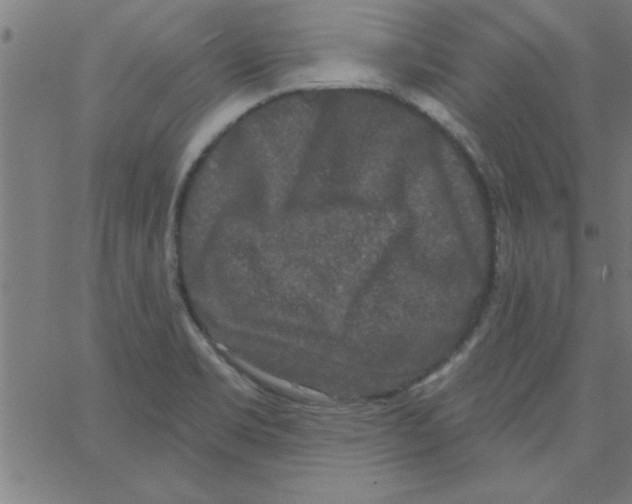 X0000067391469200604281830