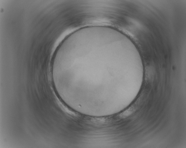 X0000067391470200604281830