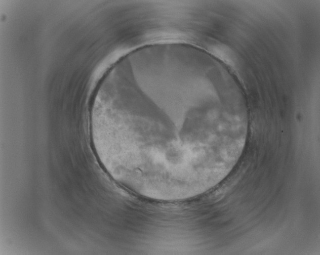 X0000067391472200604281830