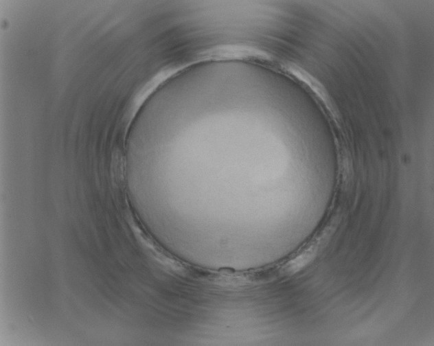 X0000067391473200604281830