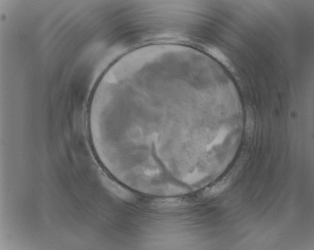 X0000067391474200604281830