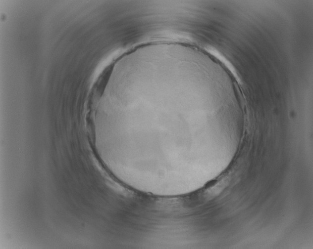 X0000067391477200604281830