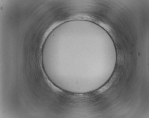 X0000067391478200604281830